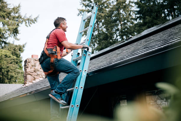 Best Gutter Installation and Repair  in Line Acres, MO